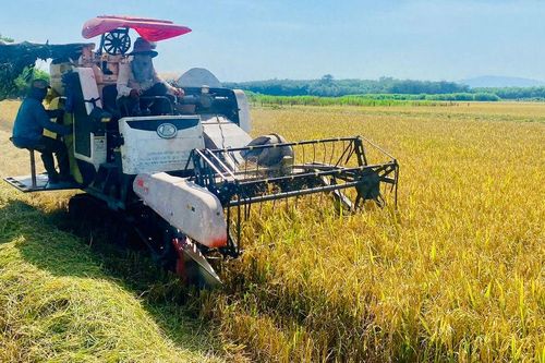Nông dân Bắc Ruộng mạnh dạn làm giàu