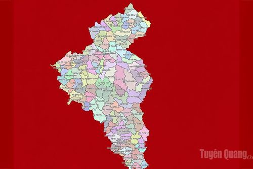 Chính phủ hỗ trợ Tuyên Quang 50 tỷ đồng thực hiện đo đạc, lập bản đồ địa chính năm 2026