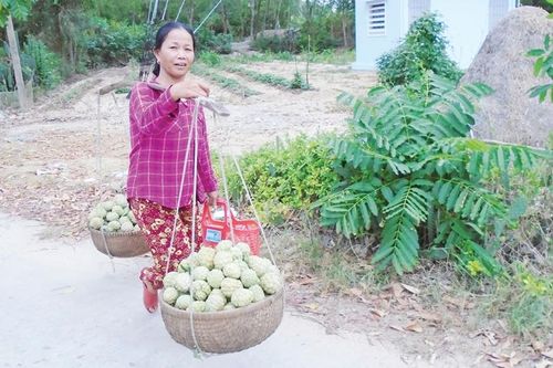 Triêng gióng giữa đời thường