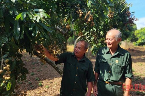 Viết tiếp bản hùng ca đời thường