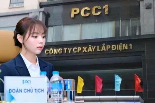 PC1 có nữ chủ tịch 27 tuổi, ông lớn hạ tầng CII nói gì về việc tăng sở hữu?