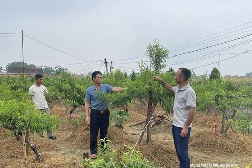 Tân Ninh 'Dân vận khéo' theo lời Bác dạy