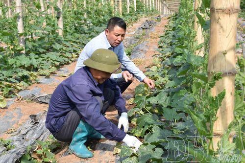 Nậm Kè hiện thực hóa mục tiêu giảm nghèo