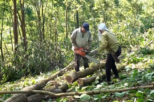 Bảo Ái triển khai đồng bộ giải pháp giảm nghèo