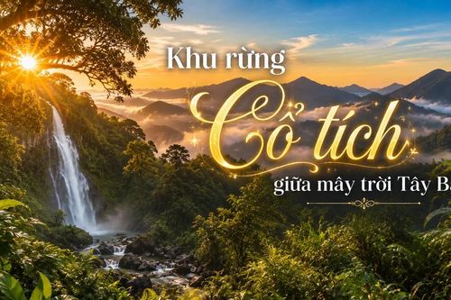 Khu rừng cổ tích giữa mây trời Tây Bắc