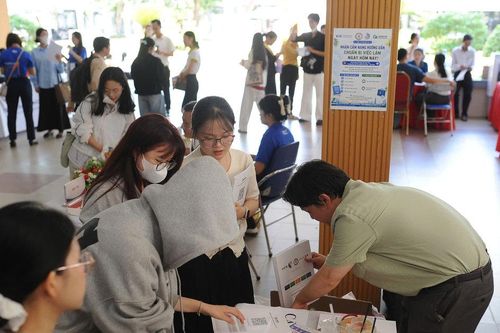 Gần 495 nghìn người tham gia Bảo hiểm thất nghiệp tại Đà Nẵng: Điểm tựa của người lao động trước biến động của thị trường
