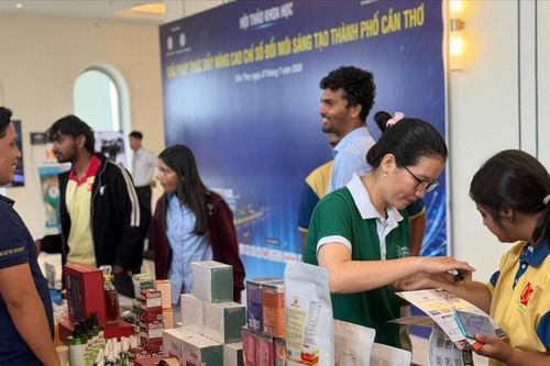 TP. Cần Thơ: Chỉ số Đổi mới sáng tạo đứng đầu khu vực đồng bằng sông Cửu Long