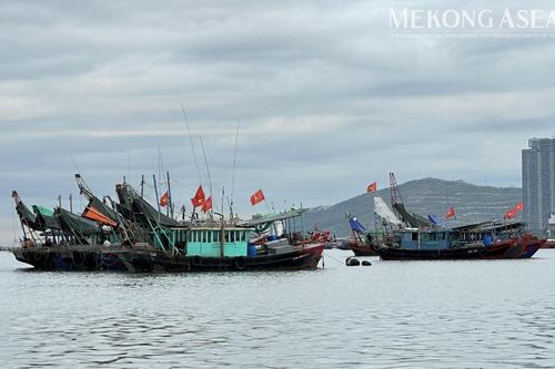 Thủy sản là mặt hàng nhập khẩu lớn nhất từ Chile