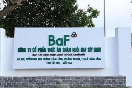 BaF Việt Nam (BAF) dự thu hơn 608 tỷ đồng qua đợt chào bán hơn 40,5 triệu cổ phiếu