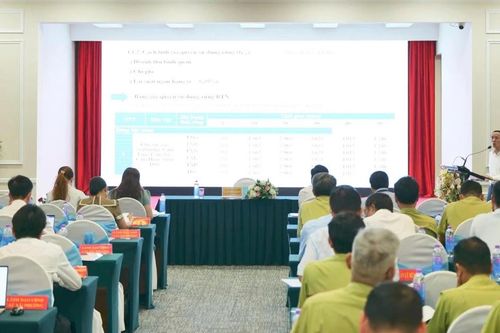Khánh Hòa: Lấy ý kiến dự thảo Quy định khung giá rừng