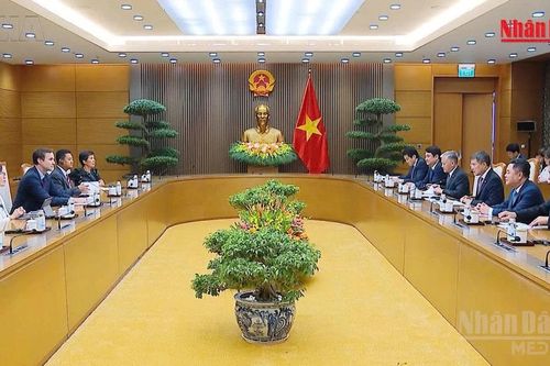 [Video] IMF là đối tác tư vấn chính sách chiến lược trong quá trình phát triển kinh tế - xã hội của Việt Nam