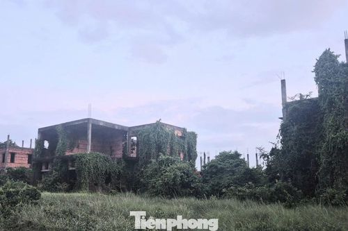 Dự án nghìn tỷ 'đắp chiếu', siêu đô thị thành… vườn sắn