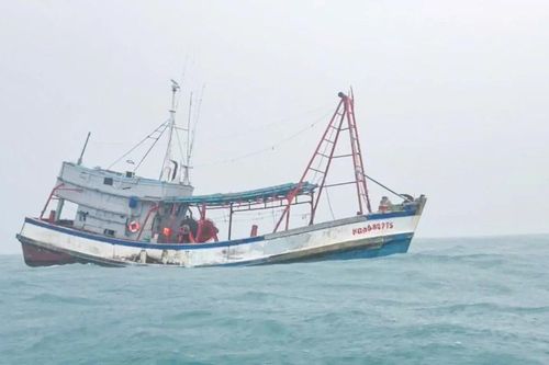 Bắt tàu cá dùng số hiệu giả