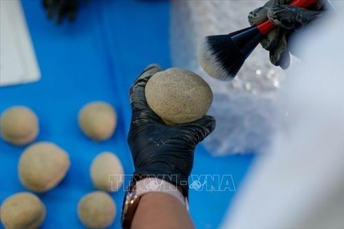 Mexico: Phát hiện 179 hiện vật khảo cổ thời tiền Colombo