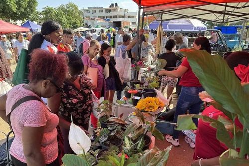 Nhộn nhịp chợ phiên cuối tuần ở thủ đô La Habana