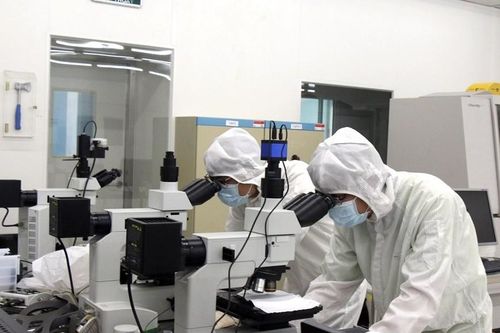 GS. TS. Thái Thị Thanh Mai: Đổi mới sáng tạo bắt đầu từ việc dám đặt câu hỏi, dám thử nghiệm và dám chấp nhận điều chỉnh