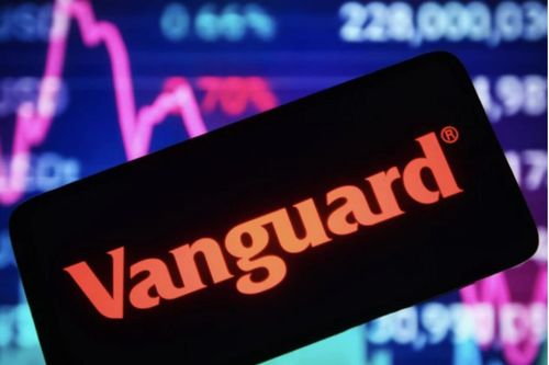 Nhiều định chế lớn Vanguard, Blackstone, Morgan Stanley đã hoàn tất chuẩn bị kỹ thuật để đầu tư vào Việt Nam