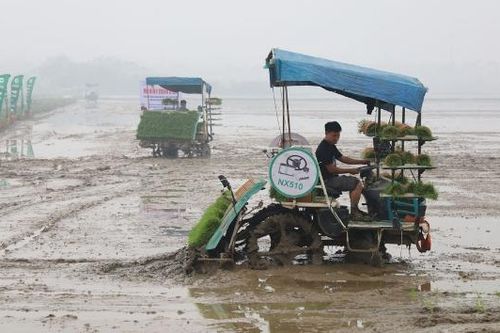 Bắc Ninh: Nghiệm thu 7 mô hình thử nghiệm, khảo nghiệm giống cây trồng, vật nuôi