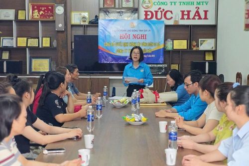 Liên đoàn Lao động tỉnh Gia Lai thành lập 2 công đoàn cơ sở