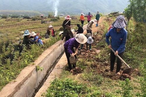 Chủ động nguồn nước sinh hoạt, sản xuất