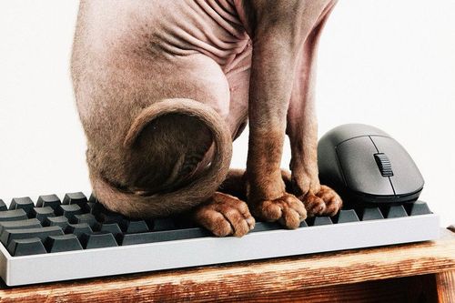 Wallhack ra mắt bàn phím K-001 và chuột M-001: Switch từ tính độc đáo cùng vỏ magie siêu nhẹ