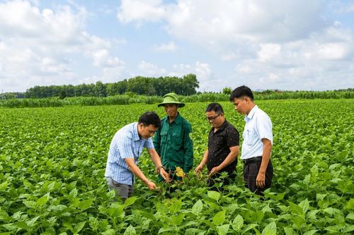 Nam Dong hướng đến nền nông nghiệp an toàn, nâng cao giá trị nông sản