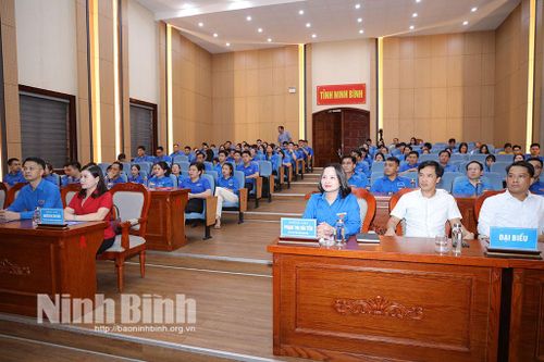 Đoàn Thanh niên UBND tỉnh triển khai nhiệm vụ trọng tâm 6 tháng cuối năm