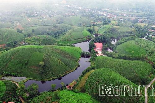 Long Cốc: Giấc mơ 'hóa rồng' đang thành hiện thực