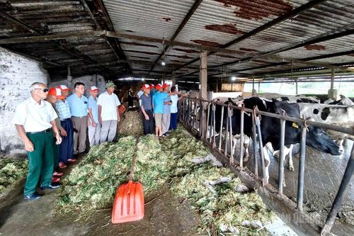 Đoàn đại biểu người có uy tín tỉnh Tuyên Quang học tập kinh nghiệm tại Phú Thọ, Sơn La và Điện Biên