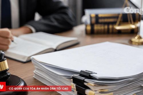 Biên bản phiên họp không nên thay thế diễn biến tố tụng