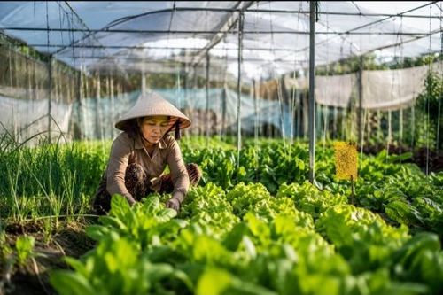 Đề cử điển hình tiên tiến góp sức phát triển nông nghiệp hữu cơ toàn quốc
