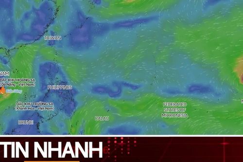 TIN NHANH: Siêu bão Dolphin có vào Biển Đông những ngày tới?