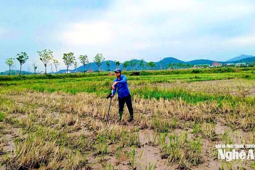 Nghệ An đã cập nhật hơn 2,2 triệu thửa đất trên hệ thống cơ sở dữ liệu quốc gia