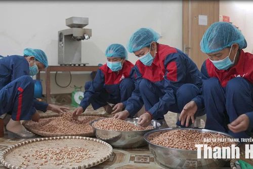 Phát triển sản phẩm OCOP theo chuỗi giá trị