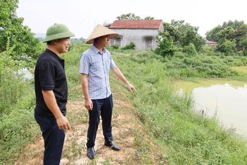 Gia cố bờ bao, lồng bè, giảm thiệt hại thủy sản do mưa bão