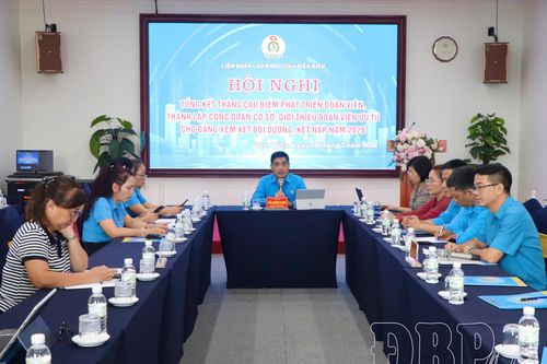 Toàn tỉnh thành lập mới 12 công đoàn cơ sở, nghiệp đoàn cơ sở