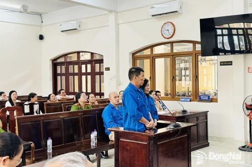 Lừa bán đất, vợ chồng cùng lãnh án
