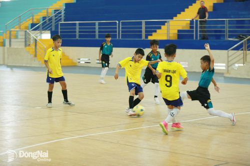 Giải bóng đá nhi đồng Cúp Báo và Phát thanh, Truyền hình Đồng Nai - C.P. Việt Nam lần thứ 21: Vòng chung kết khởi tranh ngày 6-8