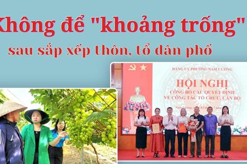 Không để 'khoảng trống' sau sắp xếp thôn, tổ dân phố