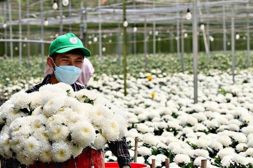 Tạo sinh kế, mở hướng thoát nghèo bền vững