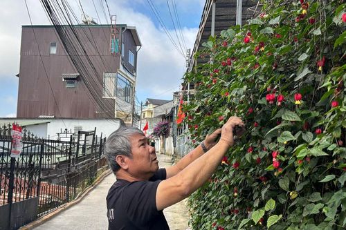 Hiến đất làm đường ở nơi 'tấc đất tấc vàng'