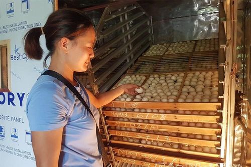 Thượng Long khơi dậy động lực phát triển kinh tế