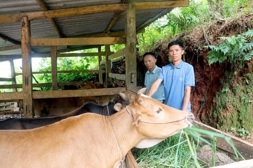 Giáp Trung giảm nghèo từ phát triển sinh kế bền vững