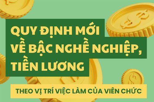 Quy định mới về bậc nghề nghiệp, tiền lương theo vị trí việc làm của viên chức