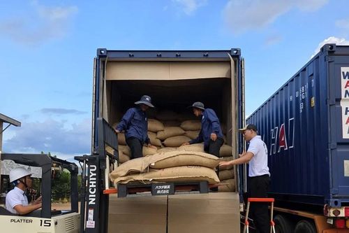 80% doanh nghiệp logistics nông nghiệp ứng dụng công nghệ số vào năm 2030