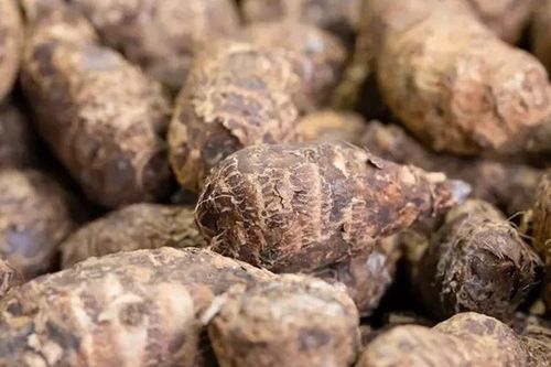 Gọt khoai sọ thường xuyên bị ngứa tay? Áp dụng ngay những mẹo đơn giản này để khắc phục