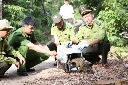 Tp. Huế: Hành động thiết thực góp phần bảo tồn đa dạng sinh học