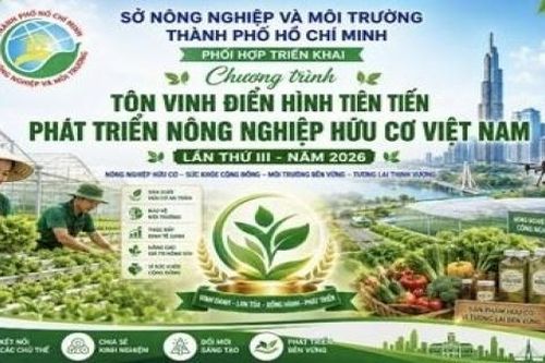 TP.HCM triển khai đề cử điển hình tiên tiến phát triển nông nghiệp hữu cơ Việt Nam năm 2026