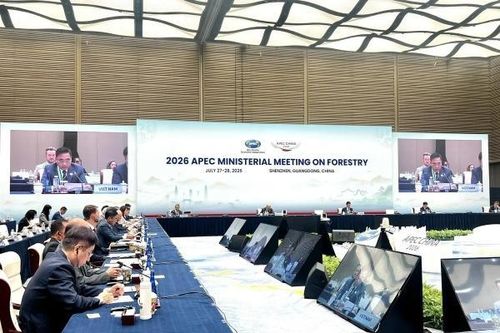 Việt Nam đề xuất 4 ưu tiên hợp tác về lâm nghiệp tại Hội nghị Bộ trưởng APEC