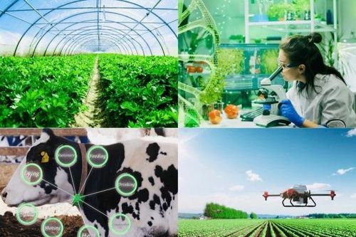 Rà soát, hoàn thiện các cơ chế, chính sách nhằm hỗ trợ phát triển nông nghiệp